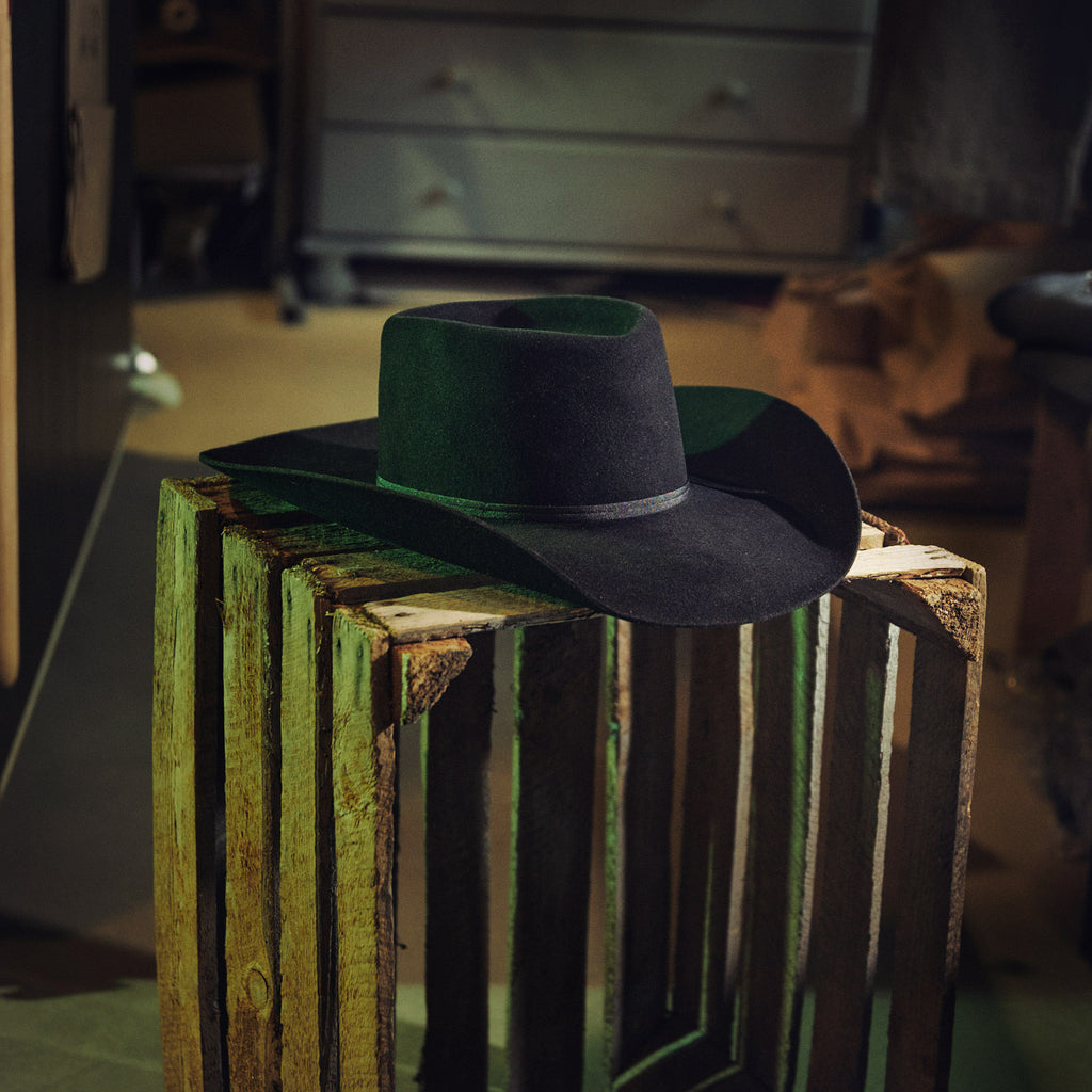 Bailey - Rodrick - Brow