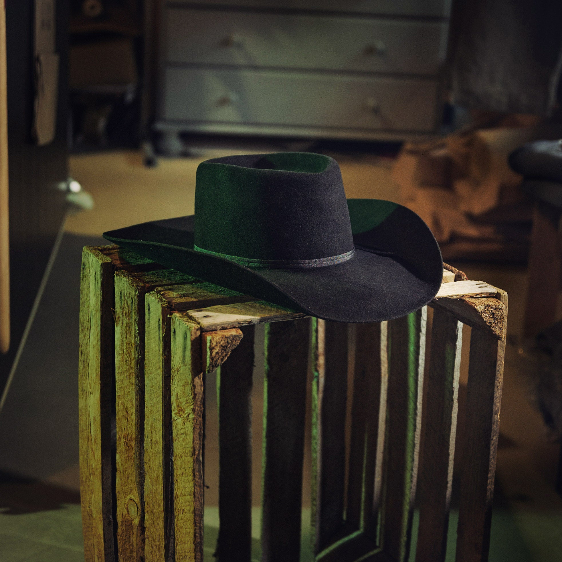 Bailey - Rodrick - Brow