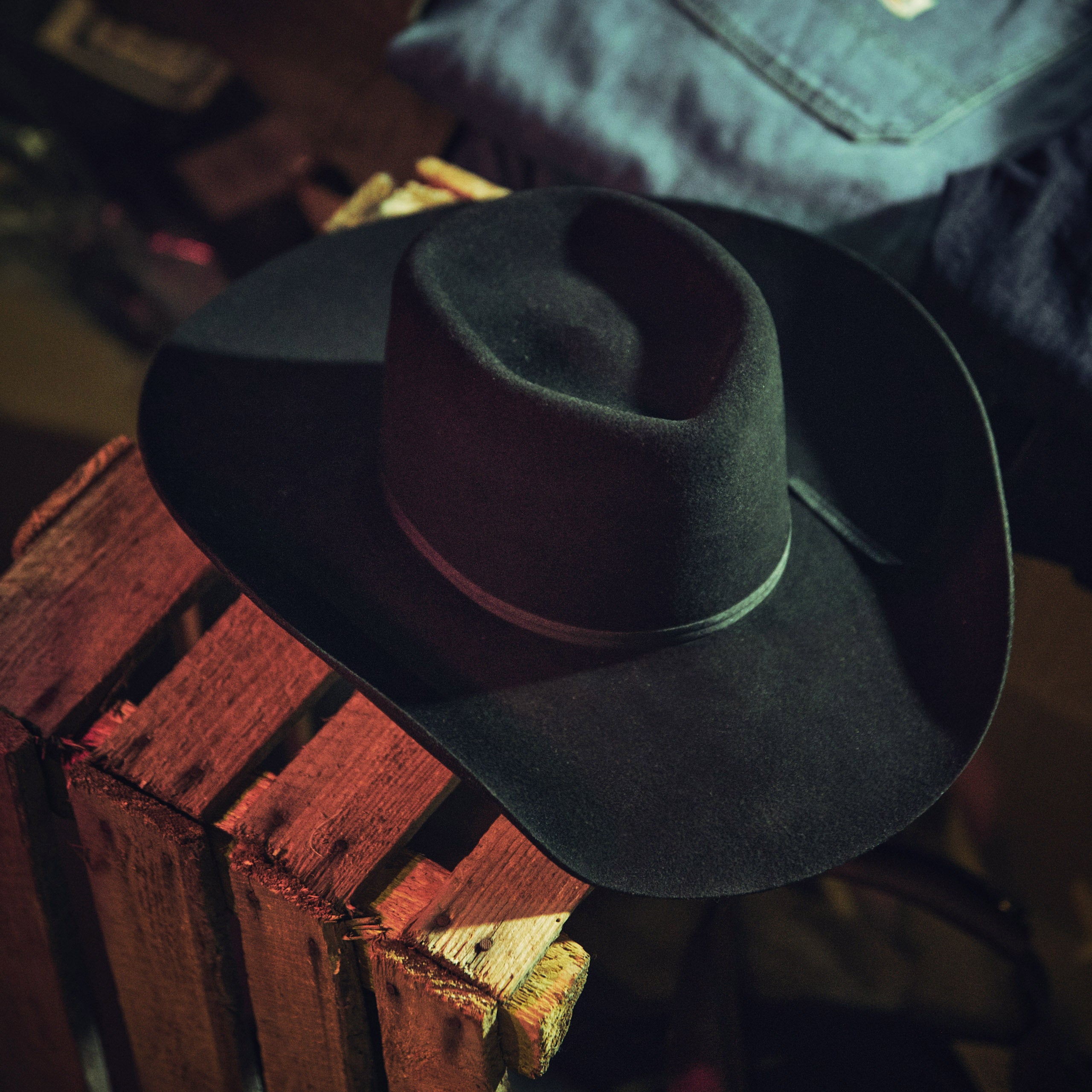 Bailey - Rodrick - Brow