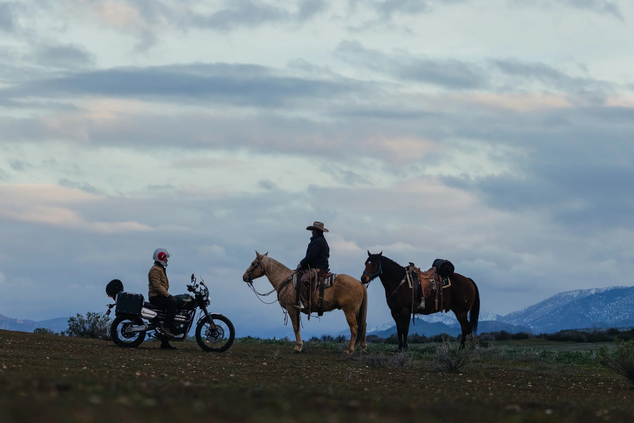 Wingman Of The Road X Iron & Resin